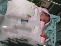 �㶫Z��������С��˳������